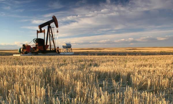 An oil pump in a large crop field.