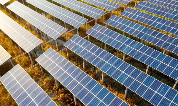 Rows of solar panels in a field.