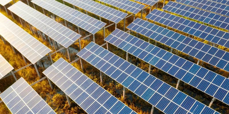 Rows of solar panels in a field.