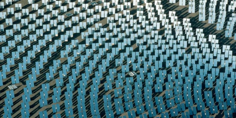 3D render of a solar farm.