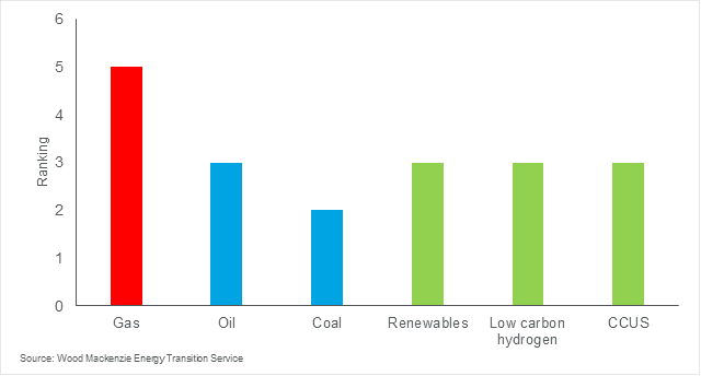 India's energy mix 2050: Huge investment opportunities in gas and low carbon technologies