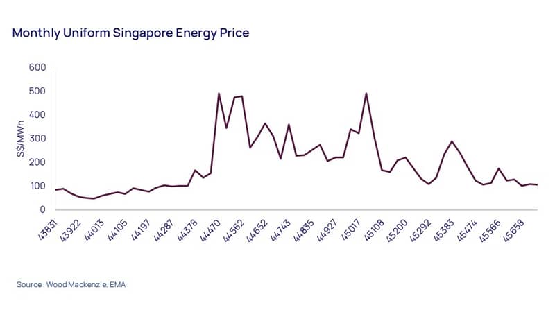 "Singapore energy prices: volatile ranging from 100-500 S$/MWh over time. Source: Wood Mackenzie EMA."