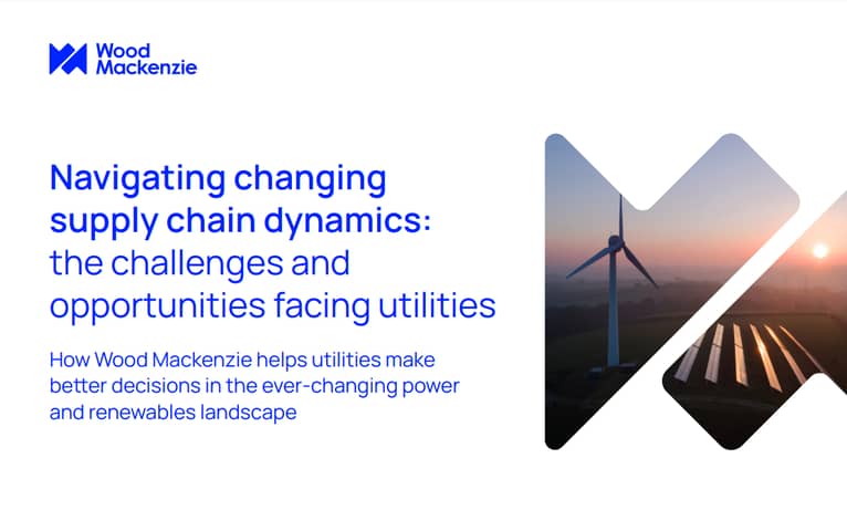 Title page for ebook: 'Navigating changing supply chain dynamics: the challenges and opportunities facing utilities '