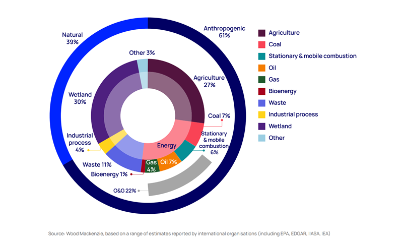 Chart shows the sources of the methane that escapes into the atmosphere