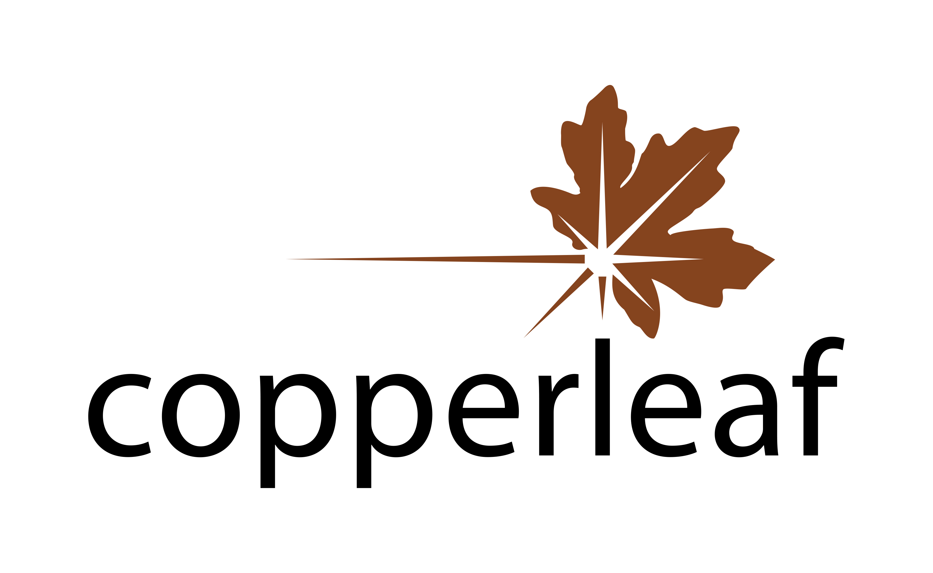 Copperleaf Logo