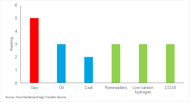 India's energy mix 2050: Huge investment opportunities in gas and low carbon technologies