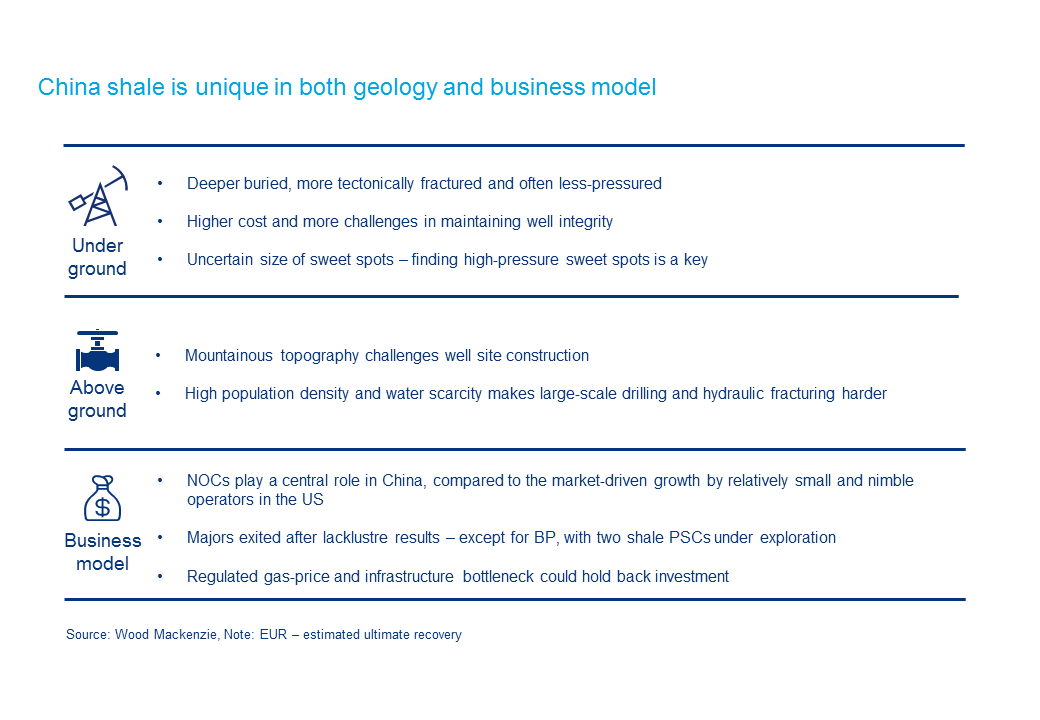 We compare US and Chinese shale plays
