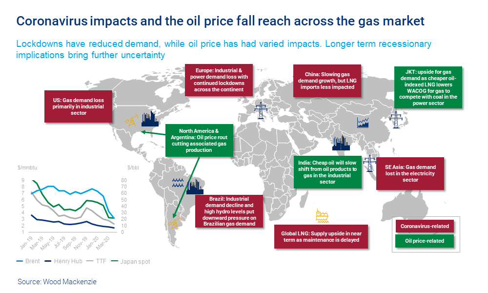 Will Indian Market Crash In 2020 / Market Crash Trial By Fire Unovest / 2020 has been a wild year for stock investors.