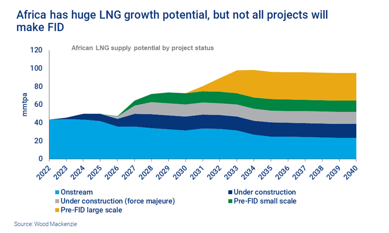 Chart shows Africa has huge LNG growth potential, but not all projects will make FID