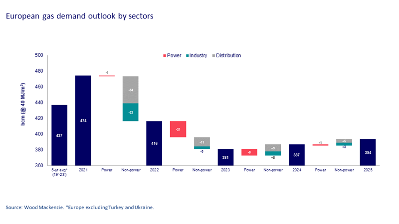 European gas demand outlook by sectors