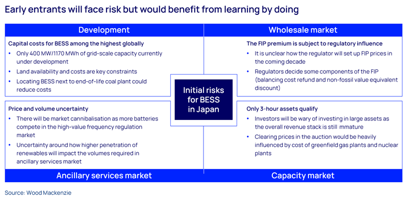 Early entrants will face risk but would benefit from learning by doing