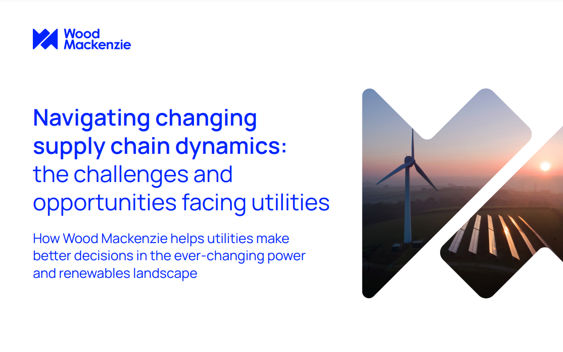 Title page for ebook: 'Navigating changing supply chain dynamics: the challenges and opportunities facing utilities '