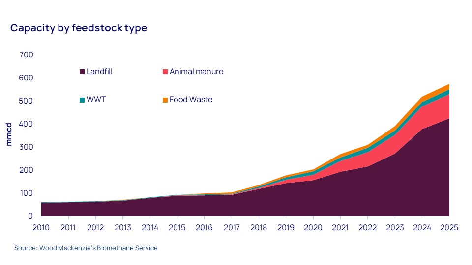 capacity by feedstock type