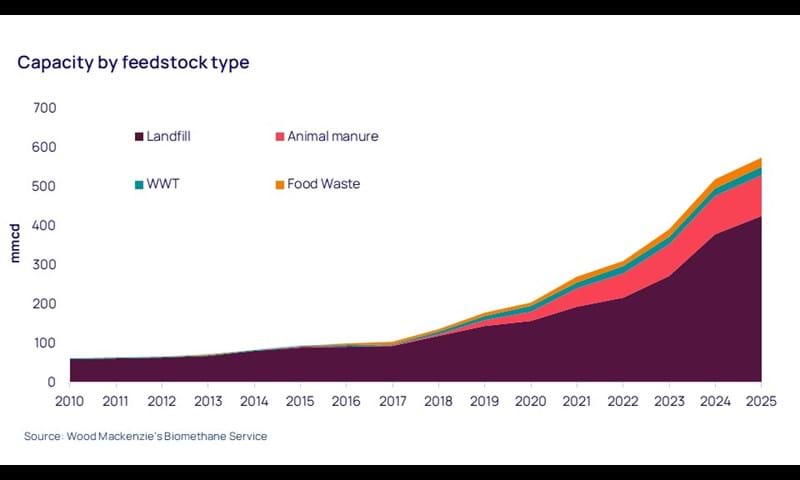capacity by feedstock type