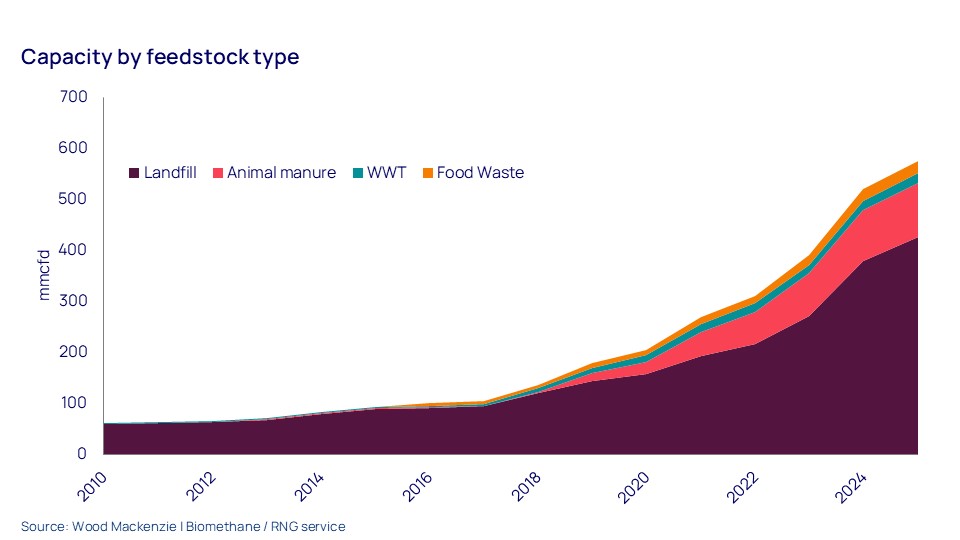 Capacity by feedstock
