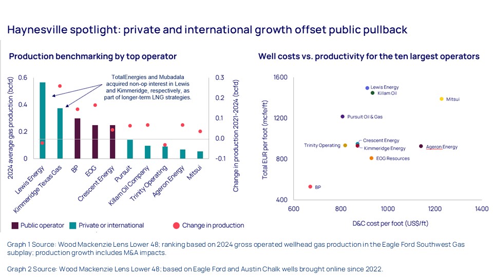 Haynesville spotlight: private and international growth offset public pullback 