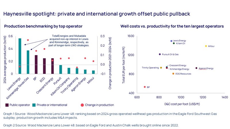 Haynesville spotlight: private and international growth offset public pullback 