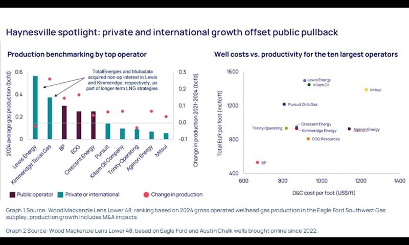 Haynesville spotlight: private and international growth offset public pullback