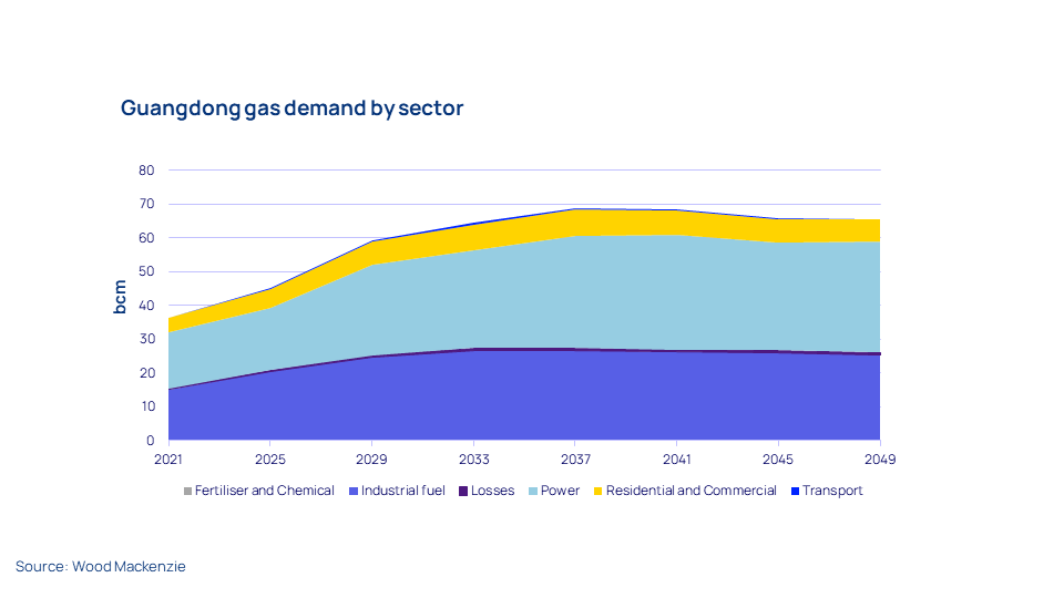 Guangdong gas demand by sector