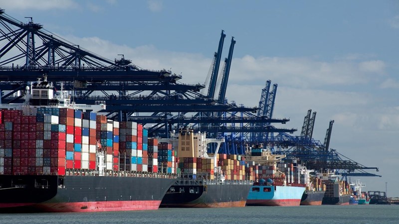 Container ships and gantry cranes at a busy port.