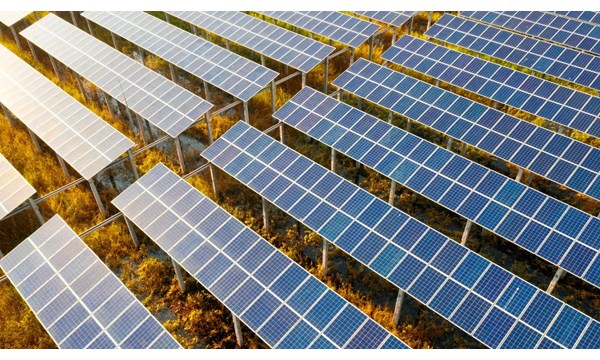 Rows of solar panels in a field.