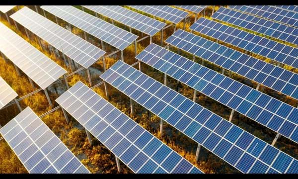 Rows of solar panels in a field.