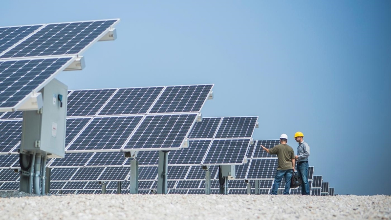 Two engineers in hard hats are inspecting rows of solar panels.