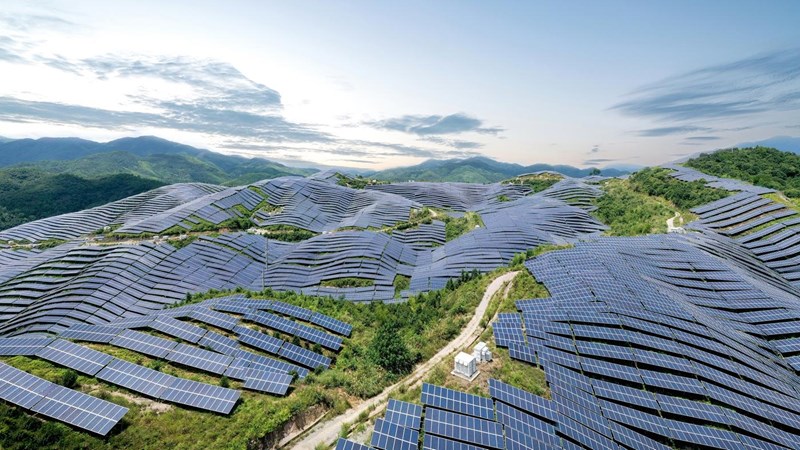 An aerial view of a solar farm, covering many leafy hills.