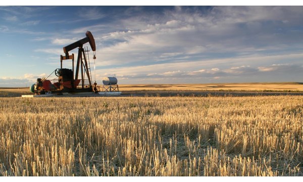 An oil pump in a large crop field.