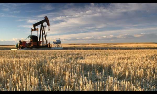 An oil pump in a large crop field.
