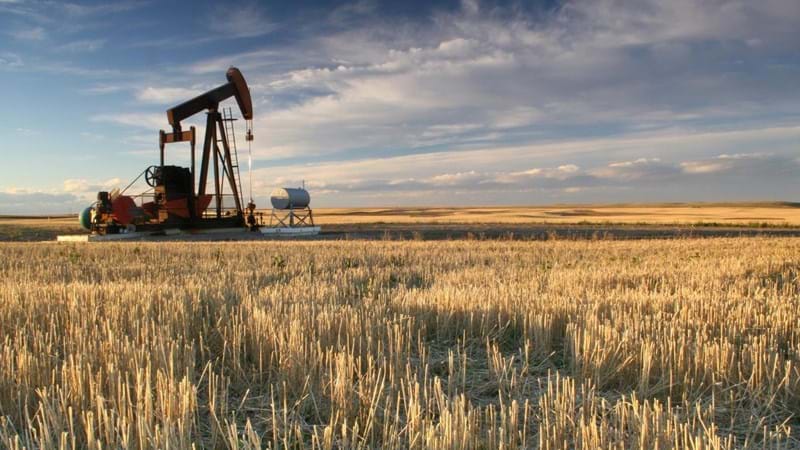 An oil pump in a large crop field.