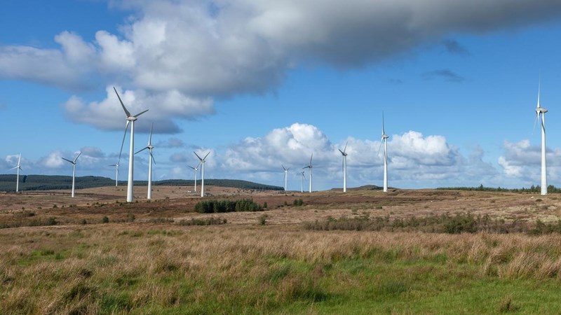 Several rows of wind turbines in wild fields and under cloudy blue skies.
