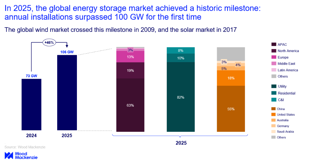 Global energy storage annual new build
